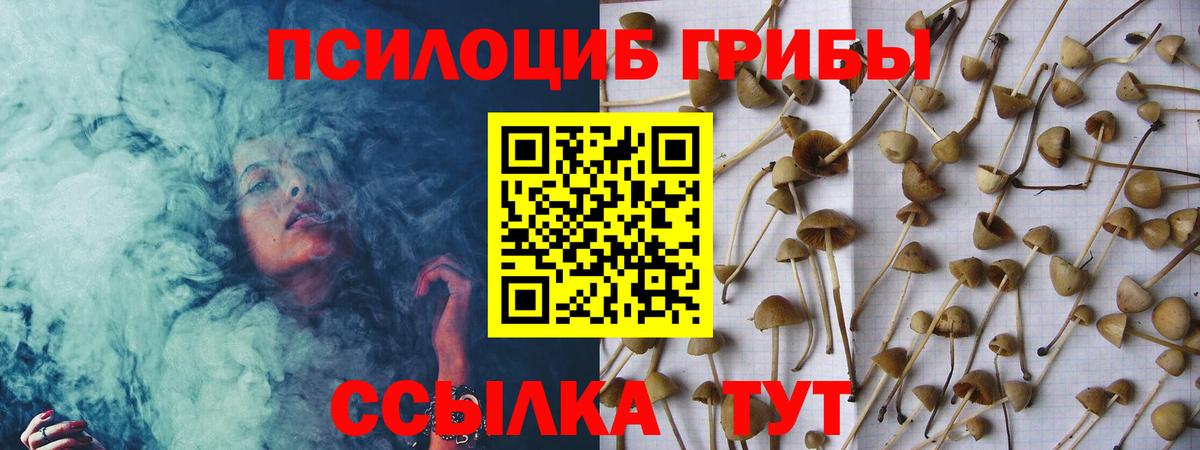 Галлюциногенные грибы прущие грибы  Вход с VPN  Гатчина 